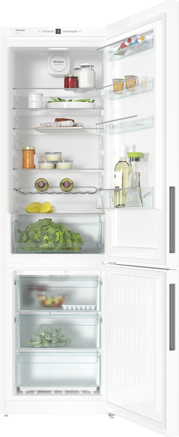 Холодильники-морозильники, що встановлюються окремо