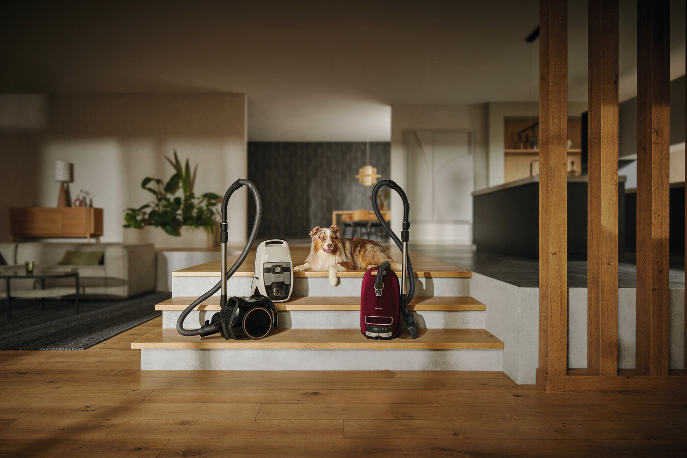 Пылесосы для сухой уборки