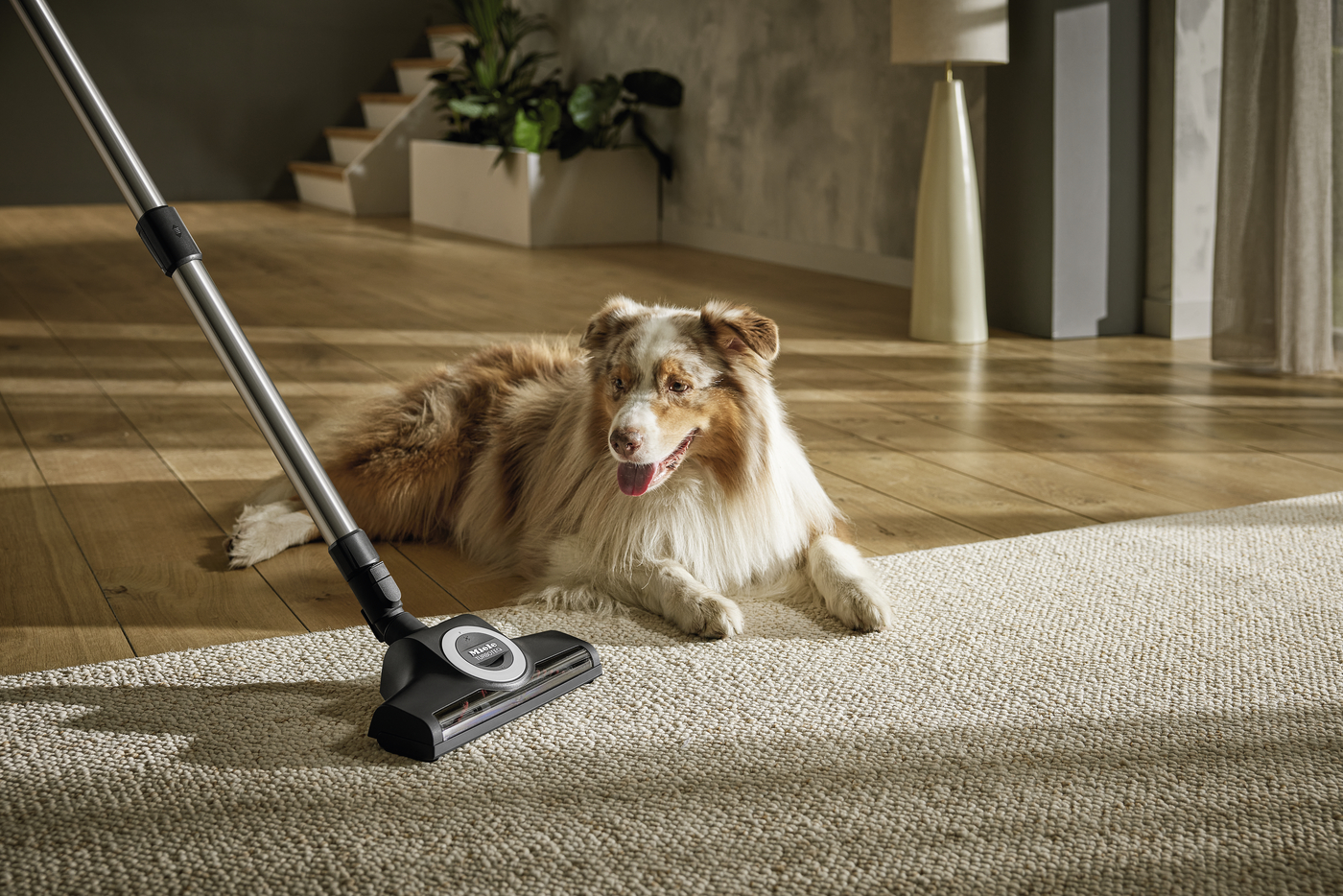 STB 305-3 Турбощітка