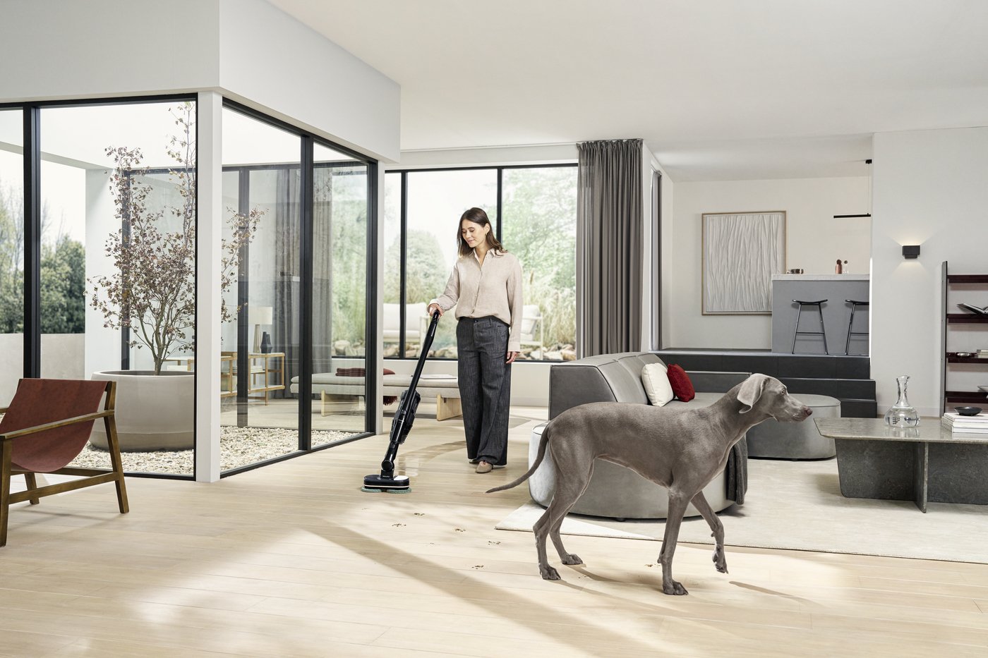 Woman vacuuming a bright, open-plan living room as a grayhound walks by. (Informative)